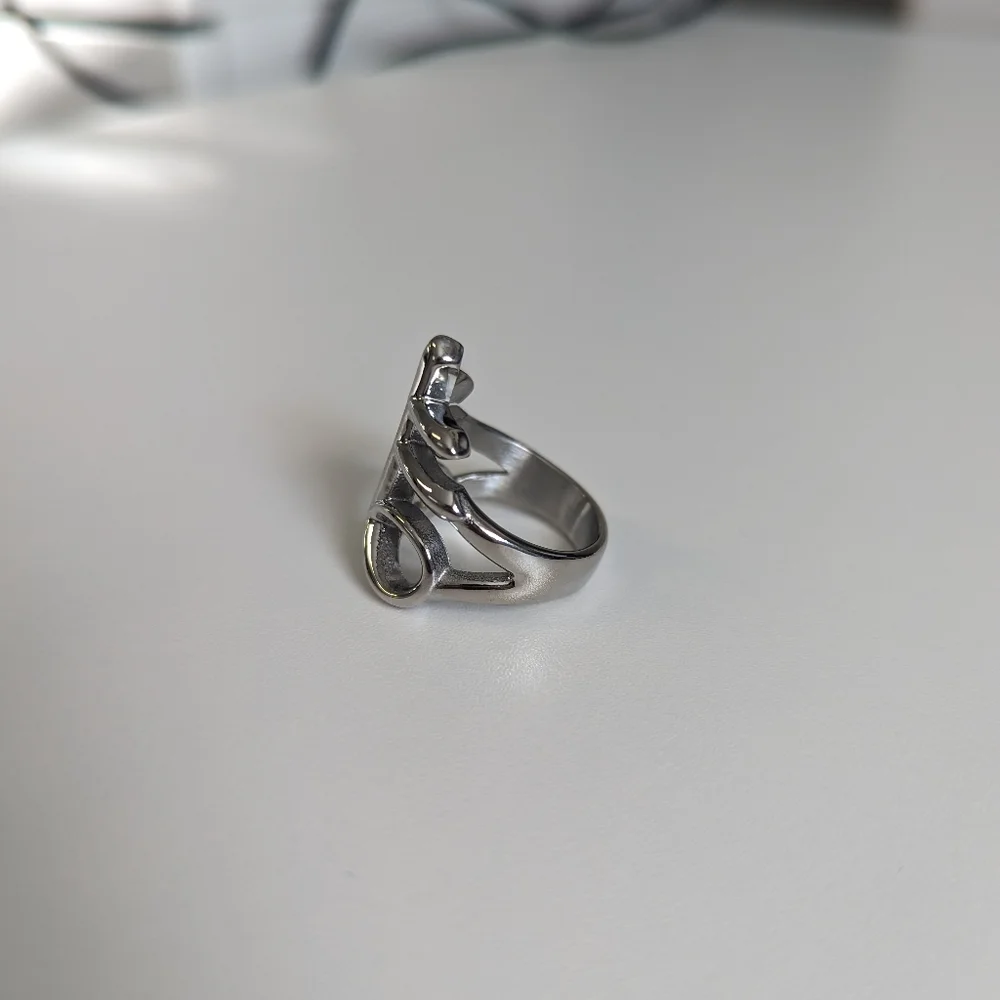 Stainless steel ring